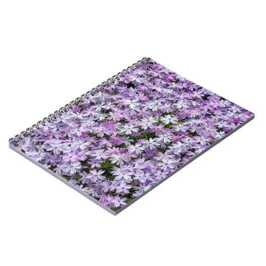 Lila Phlox-Garten Notizblock (Linke Seite)