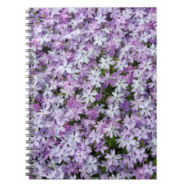 Lila Phlox-Garten Notizblock