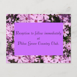 Lila Phlox Hochzeitkarte Postkarte