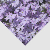 Lila Phlox-Testpapier Seidenpapier (Ausschnitt)