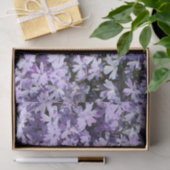 Lila Phlox-Testpapier Seidenpapier (Geschenk)