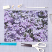 Lila Phlox-Testpapier Seidenpapier (Handwerk)