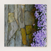 Lila Phlox und Rocks Puzzle (Horizontal)
