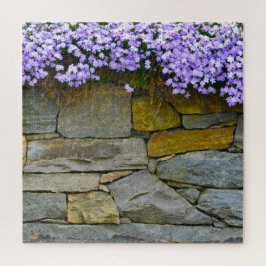 Lila Phlox und Rocks Puzzle