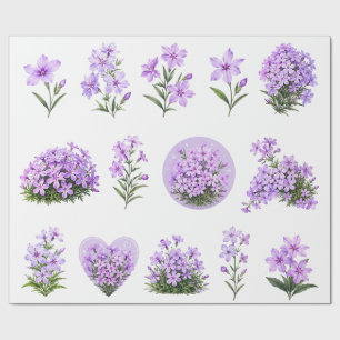 Lila Phlox-Wildblumen Botanischer Satz Geschenkpapier