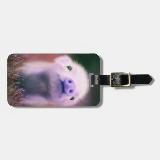 Lila Pigsie Gepäckanhänger (Vorderseite horizontal)