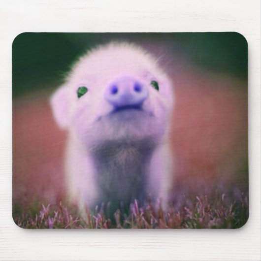 Lila Pigsy Mousepad (Vorne)