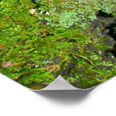 Lila Pilz auf Mossy Log Poster (Ecke)