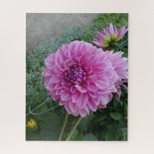 Lila Pink Dahlia Blume Puzzle