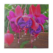 LILA & PINK FUCHSIA KERAMIK TITEL/TRIVET FLIESE (Vorderseite)