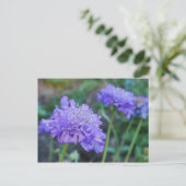 Lila Pinsel-Blume Postkarte (Stehend Vorderseite)