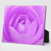 Lila Plaque Fotoplatte (Seite)