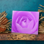 Lila Plaque Fotoplatte (Seite)