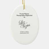 Lila Pleaser Oval Ornament (Hinten)