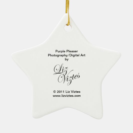 Lila Pleaser Star Ornament (Hinten)