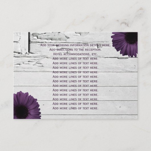Lila Plum Gerber Daisy Wedding Information Card Begleitkarte (Vorderseite)