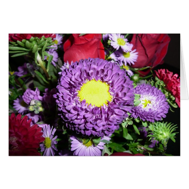 Lila Pom Mum (Vorderseite (Horizontal))