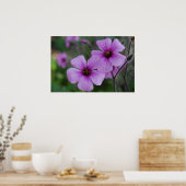 Lila Poppies Poster (Küche)