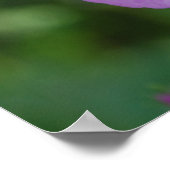 Lila Poppies Poster (Ecke)