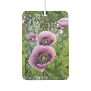 Lila Poppy Poppies Blume Auto Air Freshener Autolufterfrischer