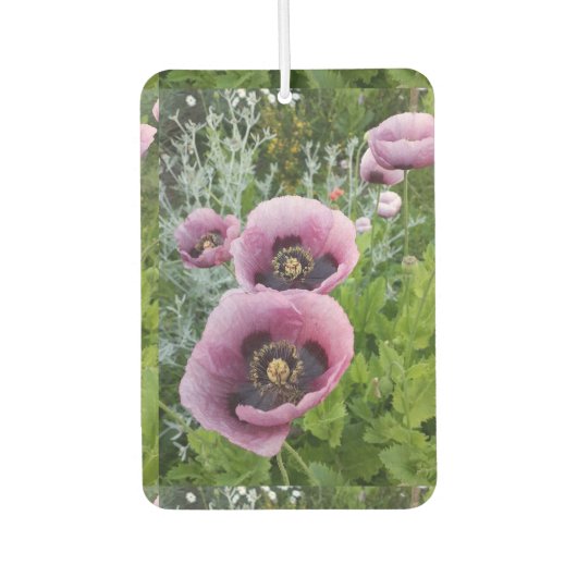 Lila Poppy Poppies Blume Auto Air Freshener Autolufterfrischer (Vorderseite)