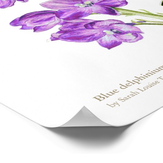 Lila Poster der botanischen Kunst des Delphinium (Ecke)