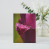 Lila Postkarte (Stehend Vorderseite)