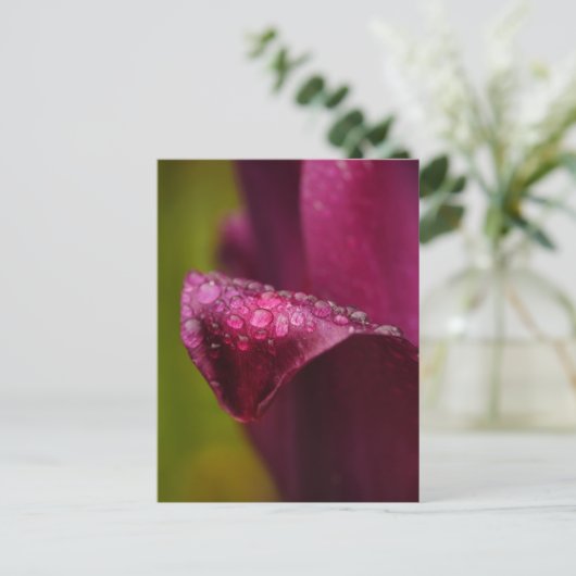 Lila Postkarte (Stehend Vorderseite)