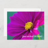 Lila Postkarte (Vorne/Hinten)