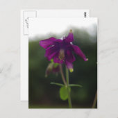 Lila Postkarte (Vorne/Hinten)