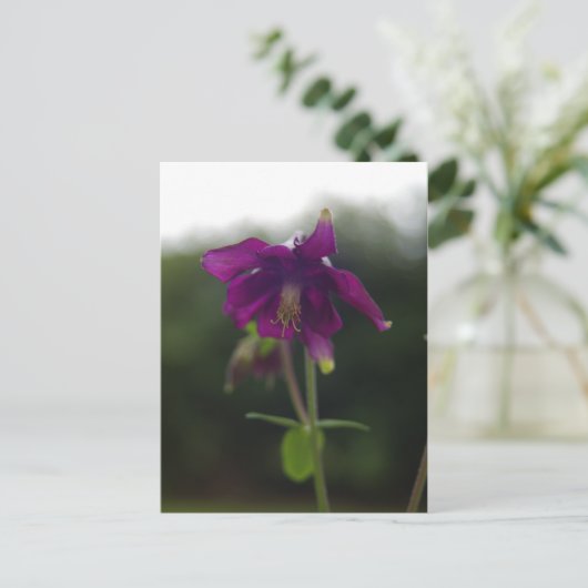 Lila Postkarte (Stehend Vorderseite)