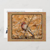 Lila Postkarte (Vorne/Hinten)