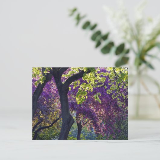Lila postkarte (Stehend Vorderseite)