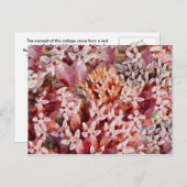 Lila Postkarte (Vorne/Hinten)