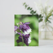 Lila Postkarte (Stehend Vorderseite)