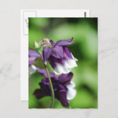 Lila Postkarte (Vorne/Hinten)