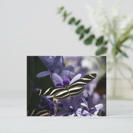 Lila postkarte (Stehend Vorderseite)