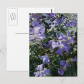 Lila Postkarte (Vorne/Hinten)