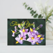 Lila Potato-Blume Danke-Karte Dankeskarte (Stehend Vorderseite)