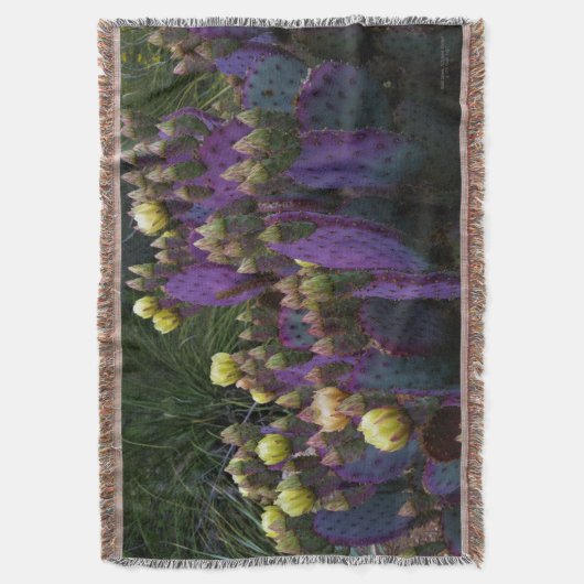 Lila Prickly Birne Opuntia Kaktus Gelbe Blüten Decke (Vorderseite Vertikal)