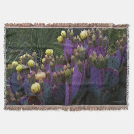 Lila Prickly Birne Opuntia Kaktus Gelbe Blüten Decke