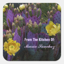 Lila Prickly Birne Opuntia Kaktus Gelbe Blüten