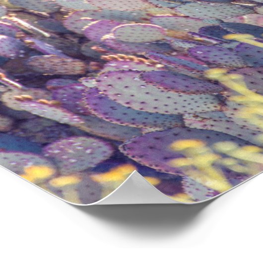 Lila Prickly Birnen | Poster (Ecke)