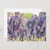 Lila Prickly Birnen | Postkarte (Vorne/Hinten)