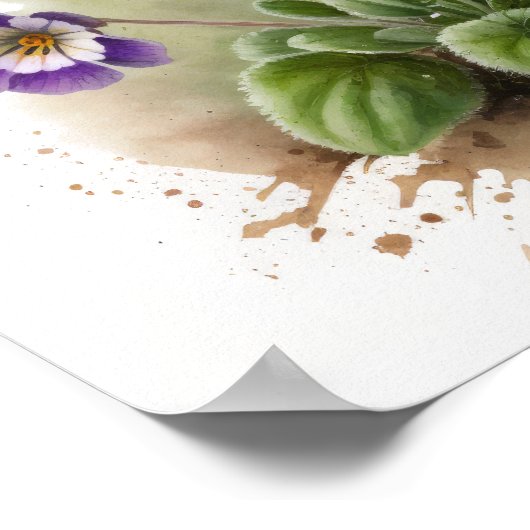 Lila Primrose Blume Art Print Poster (Ecke)