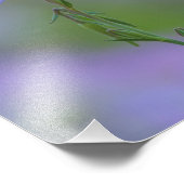 Lila Primrose Fotodruck (Ecke)