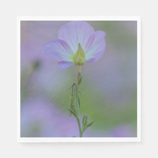 Lila Primrose Serviette (Vorderseite)
