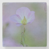 Lila Primrose Steinuntersetzer (Vorderseite)