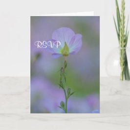 Lila Primrose UAWG Einladung