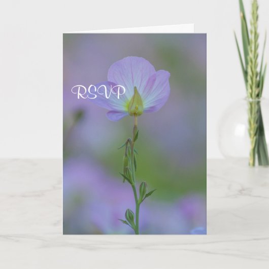 Lila Primrose UAWG Einladung (Vorderseite)